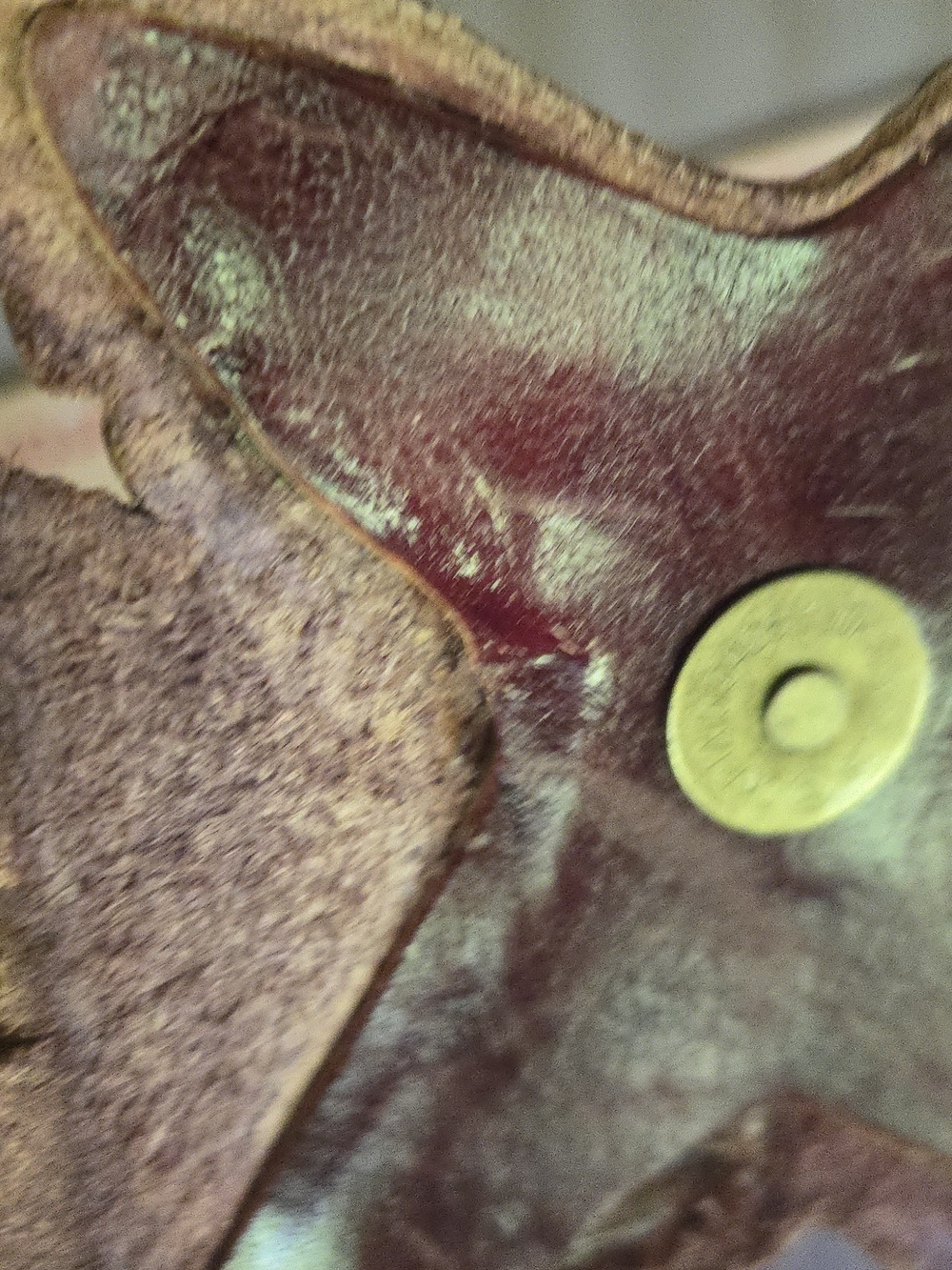 Handmade Burgundy Leather Crossbody Bag with Colorful Hummingbird Accent - Picture 6 of 7